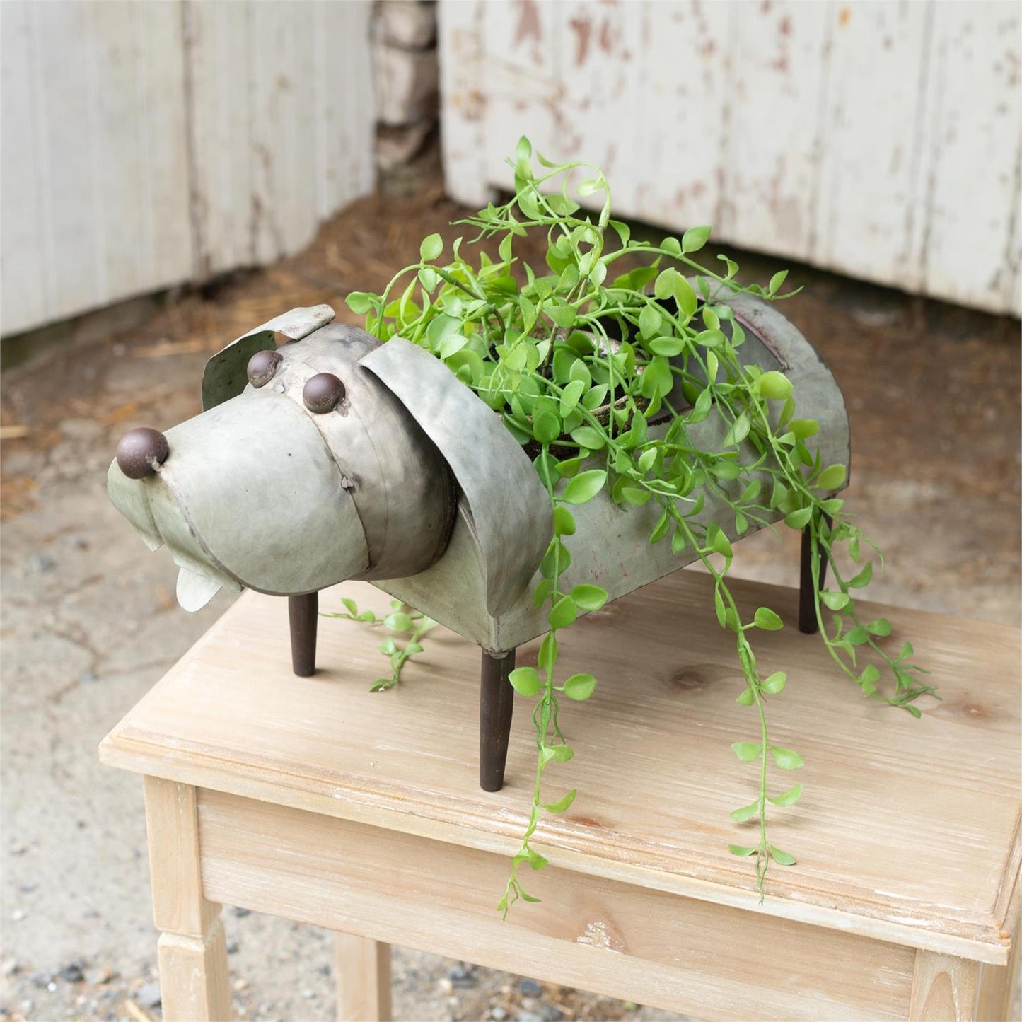 Galvanized Dog Planter