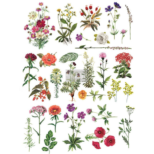 Floral Collection Decor Transfer by Redesign with Prima