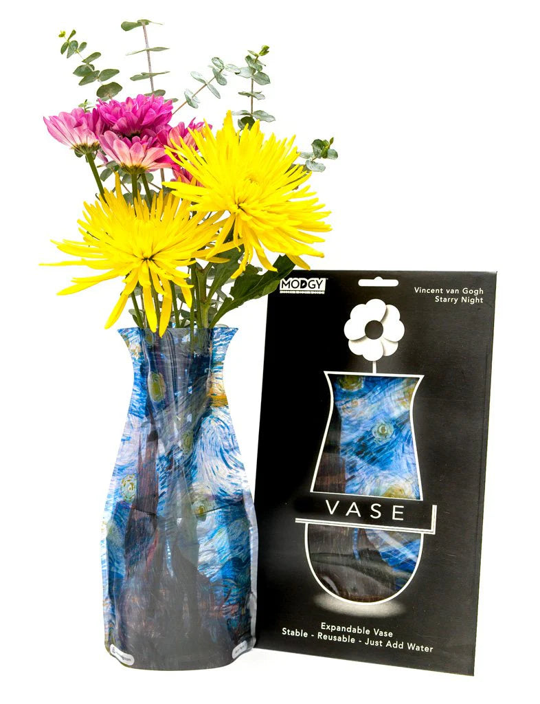 Modgy Vases