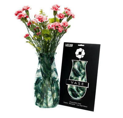 Modgy Vases