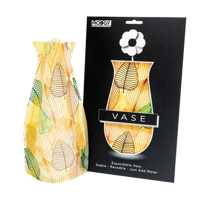 Modgy Vases