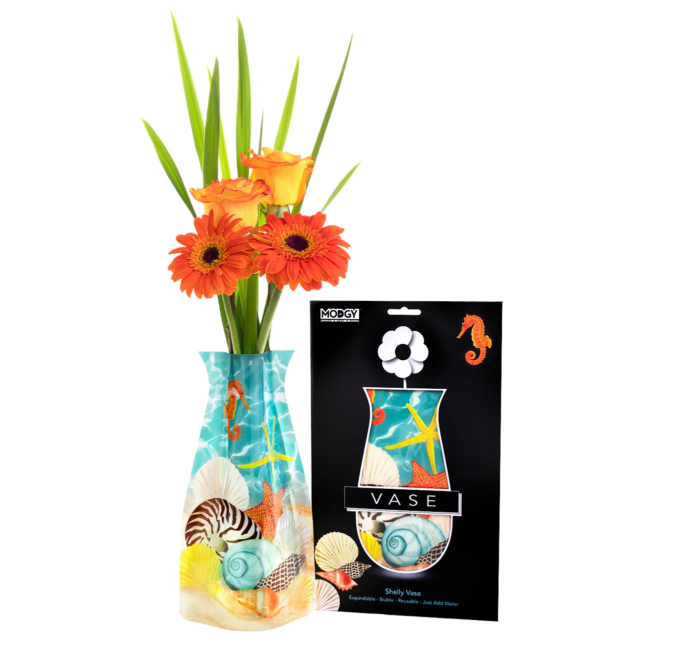 Modgy Vases