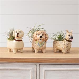 Doggie planters