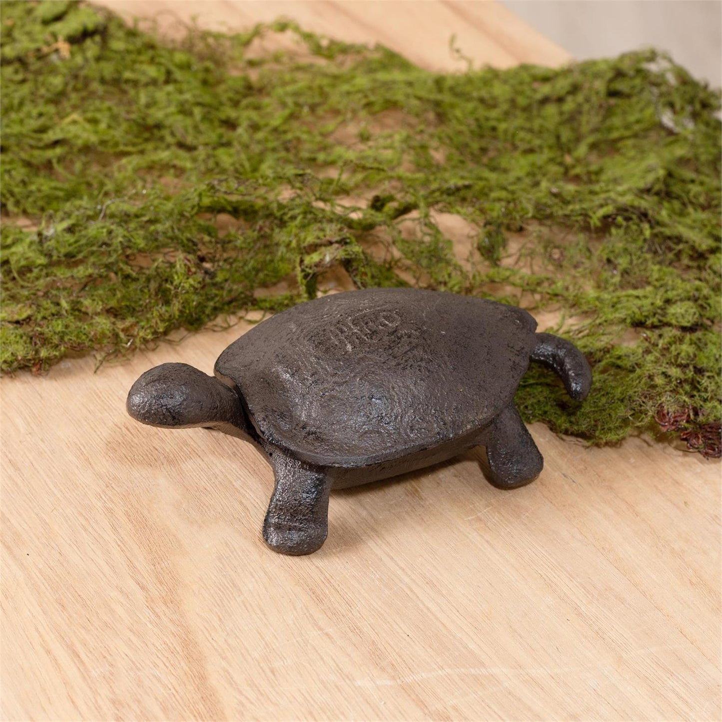 Turtle key hider