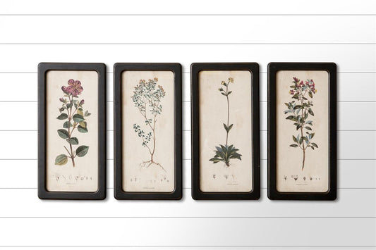 Framed Floral Prints