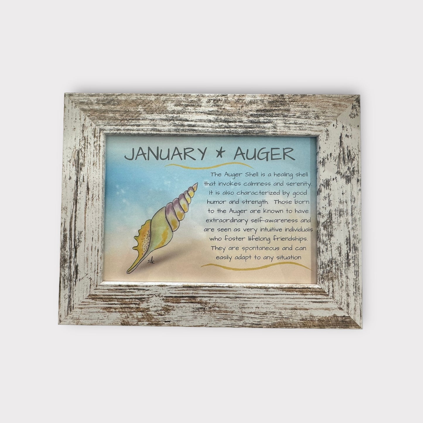 Tropical Art Chick Birth shell prints