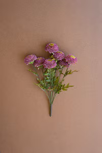 Bundle of 7 Purple Ball Dahlias