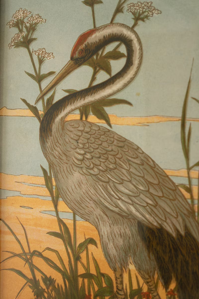 Set of Two Framed Herons