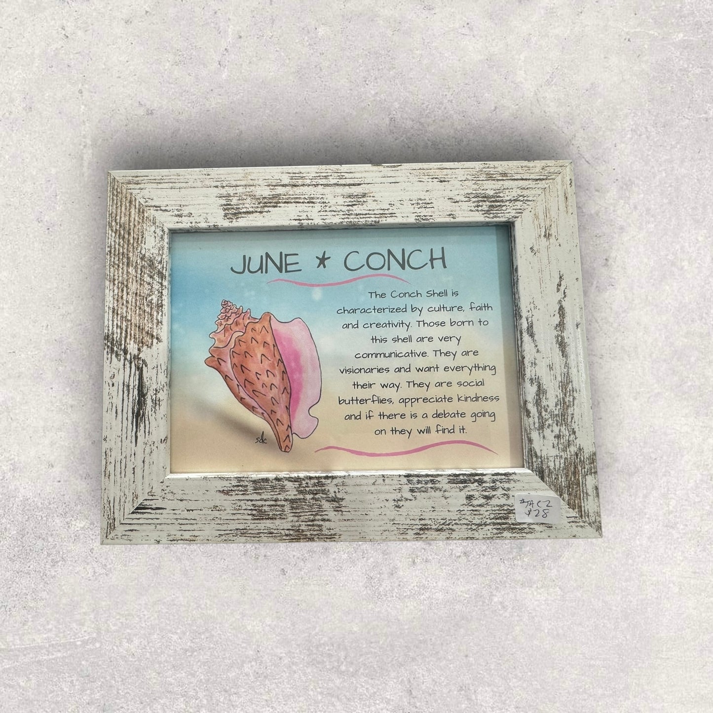 Tropical Art Chick Birth shell prints