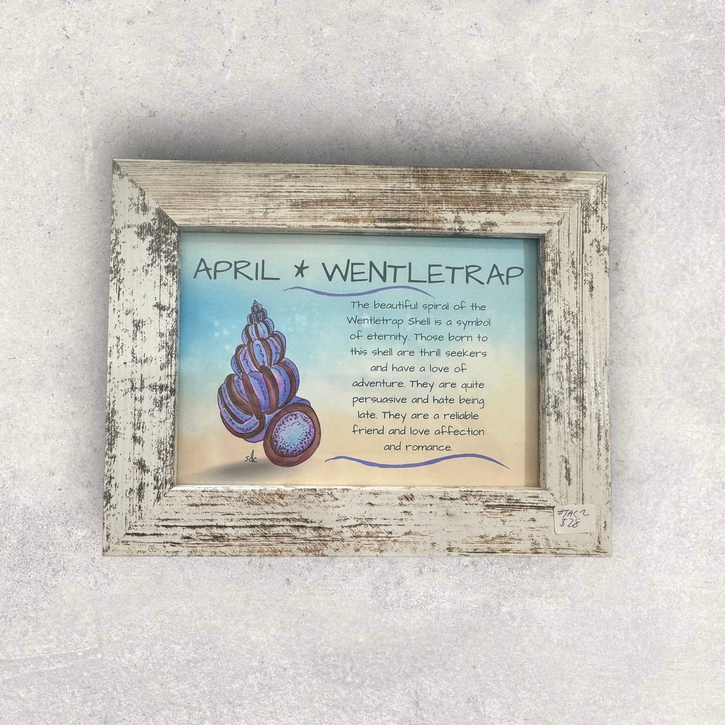 Tropical Art Chick Birth shell prints