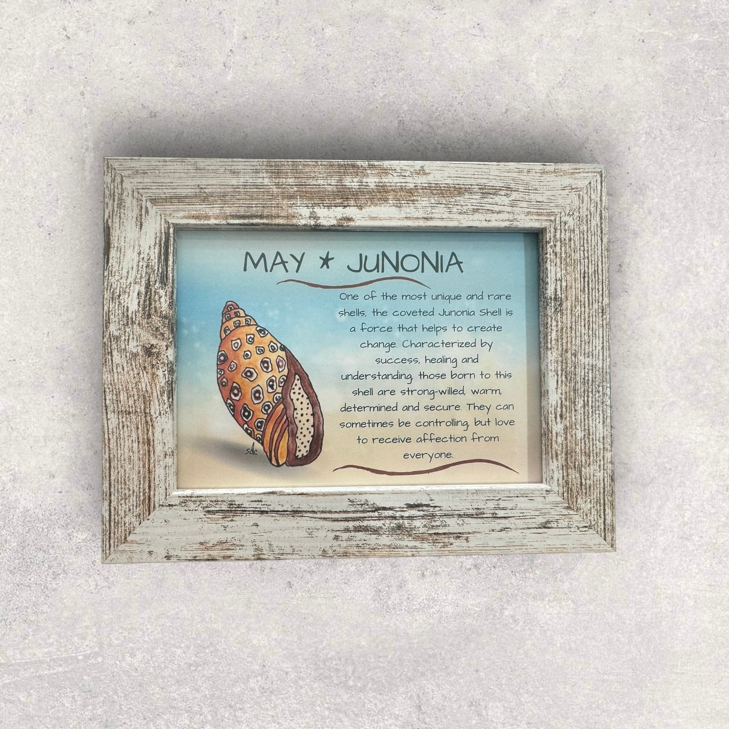 Tropical Art Chick Birth shell prints