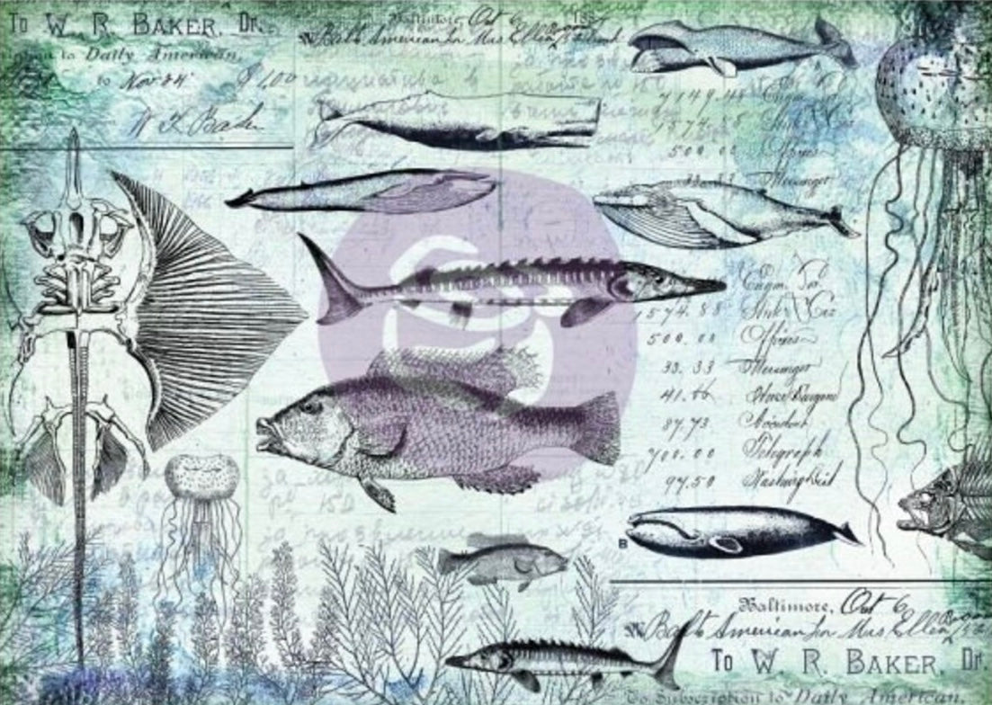 Art Daily Decorative Paper nautical