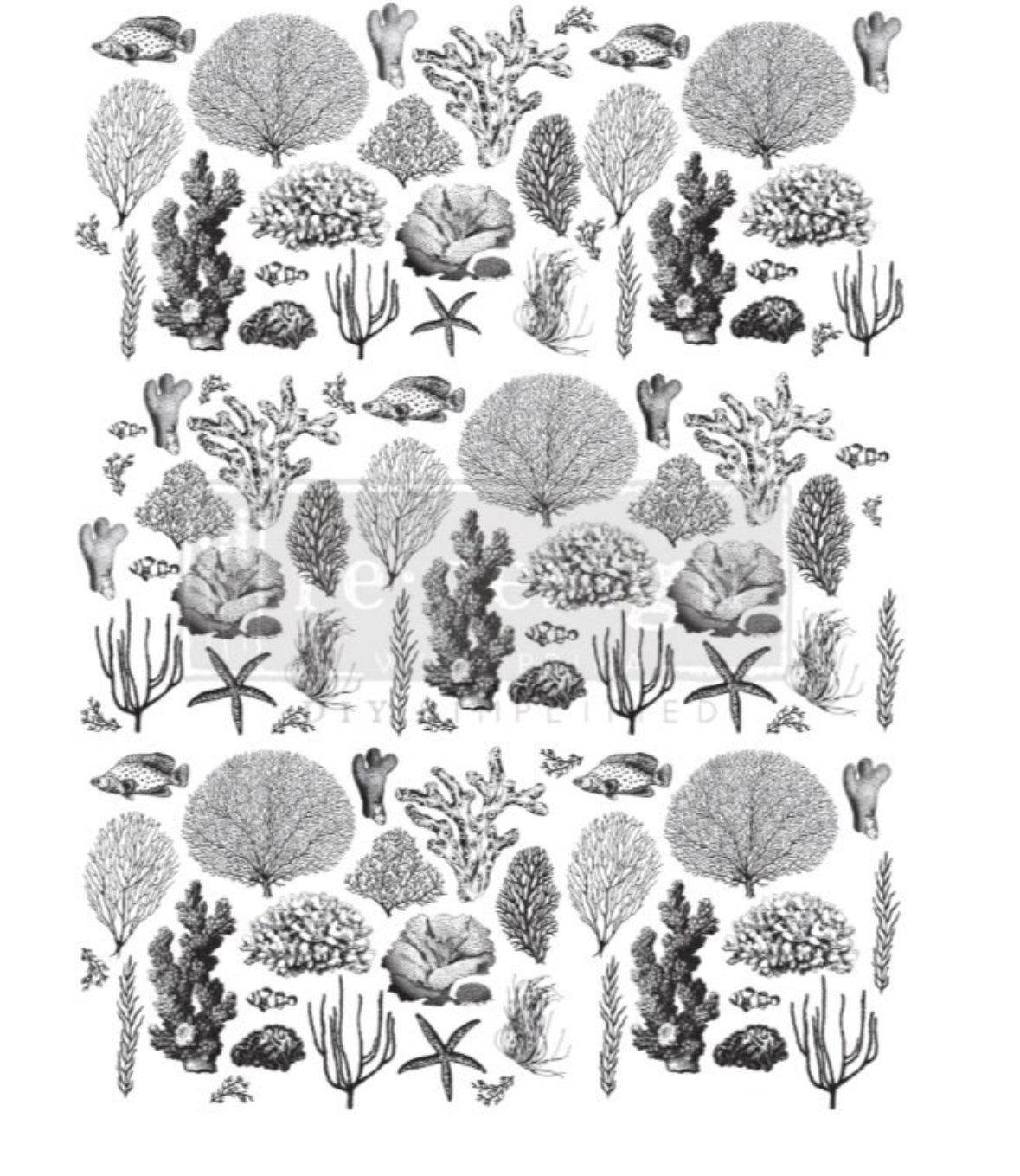 Coastal Sea Life transfer by Redesign with Prima
