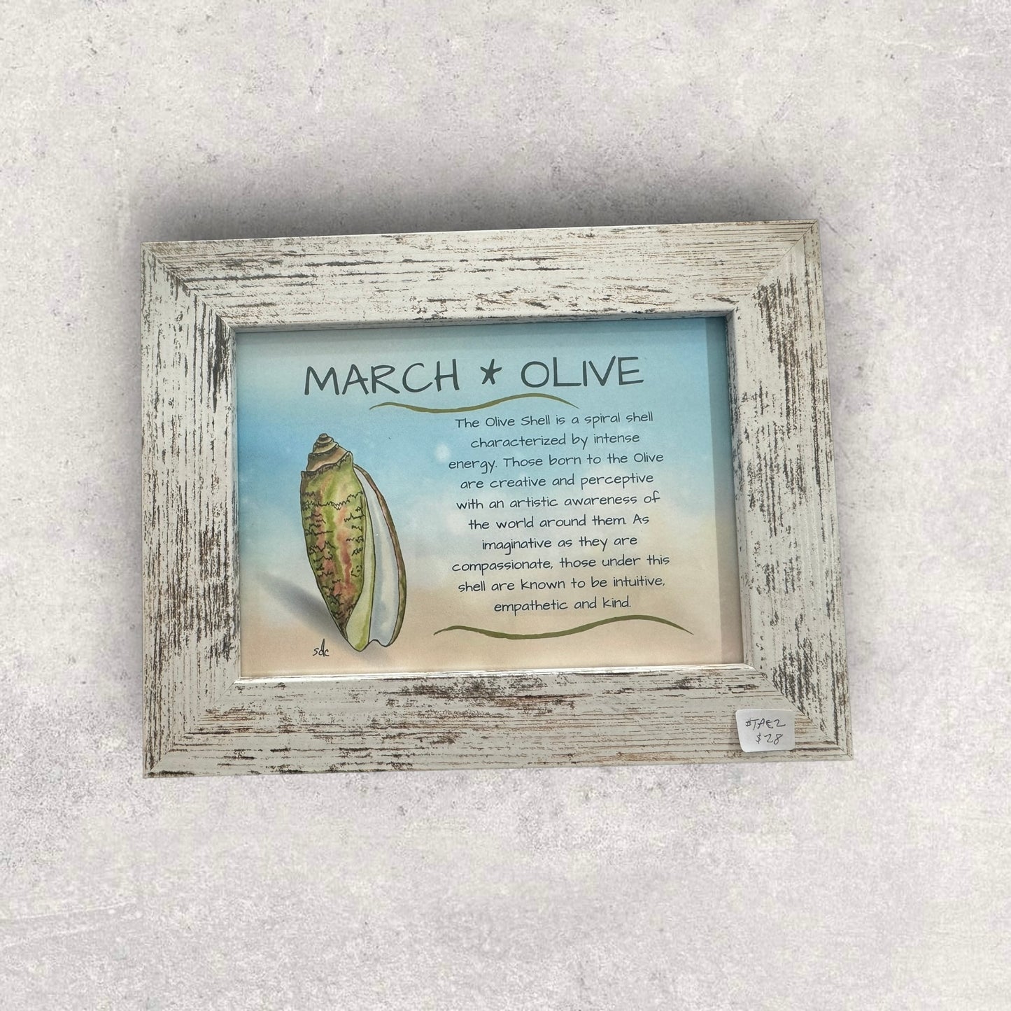 Tropical Art Chick Birth shell prints