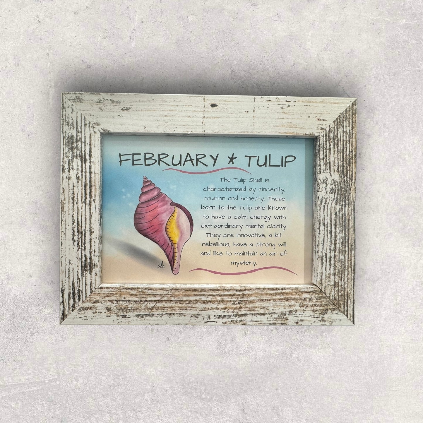 Tropical Art Chick Birth shell prints