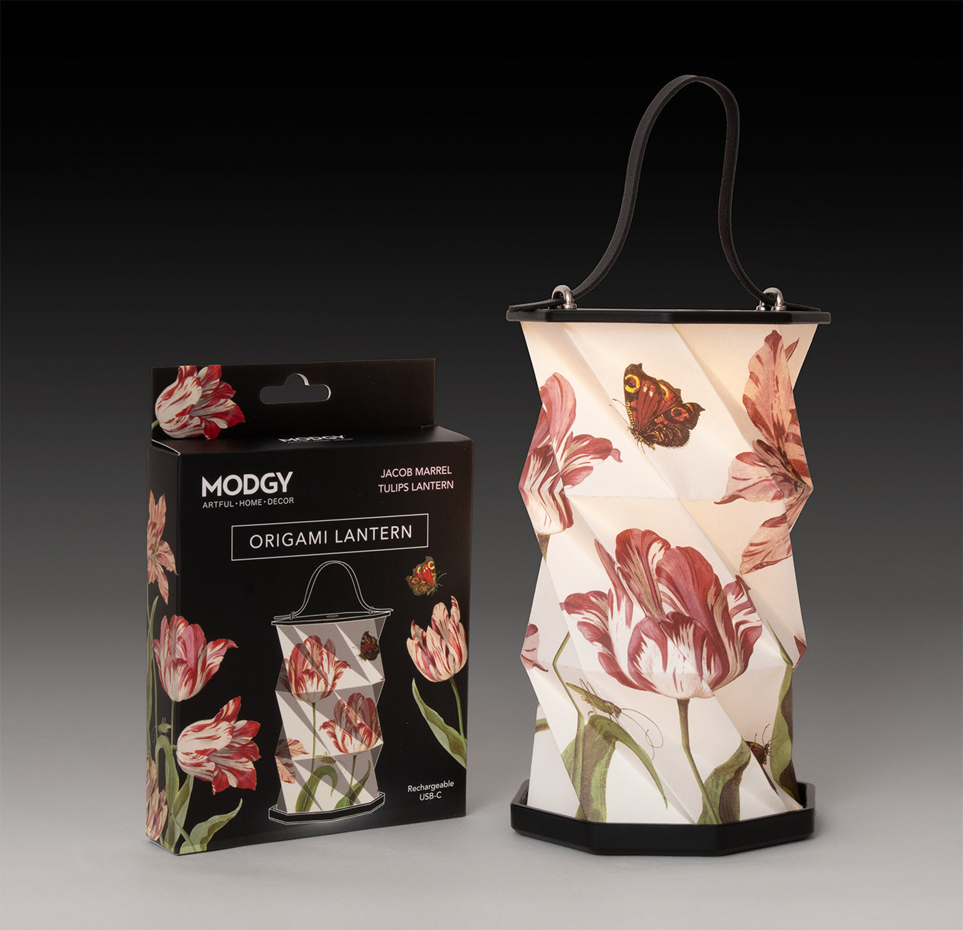 Modgy Origami LED Lanterns