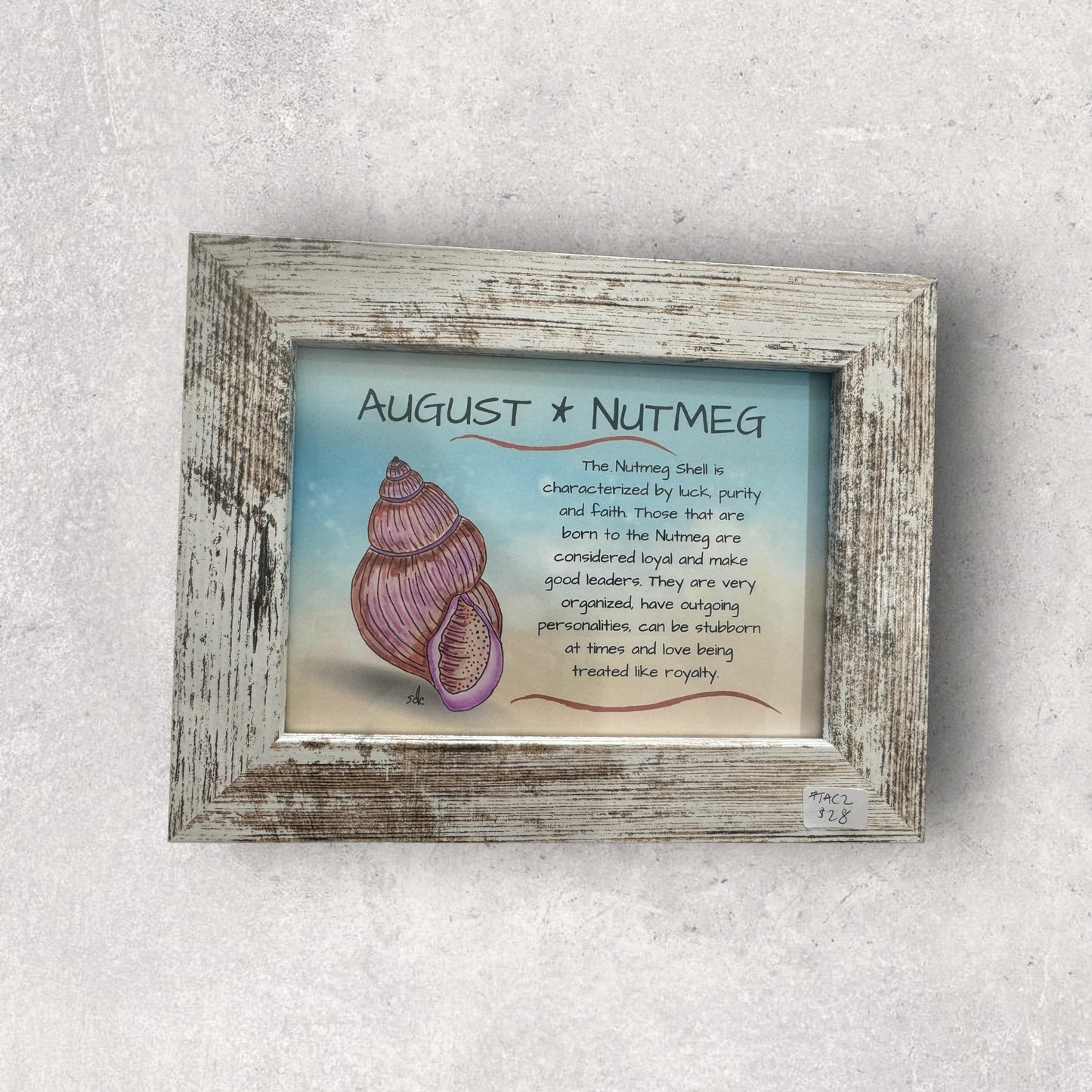 Tropical Art Chick Birth shell prints