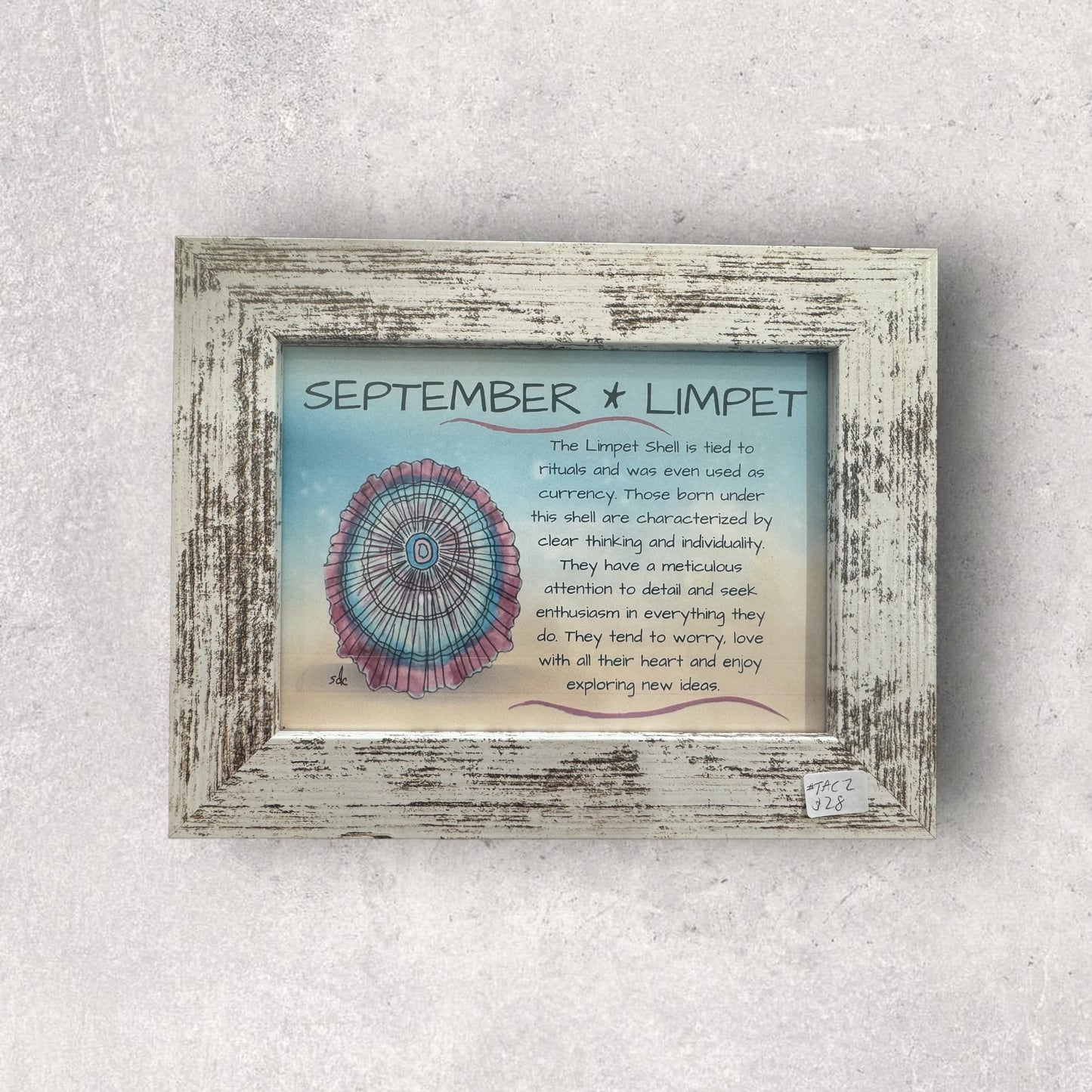 Tropical Art Chick Birth shell prints