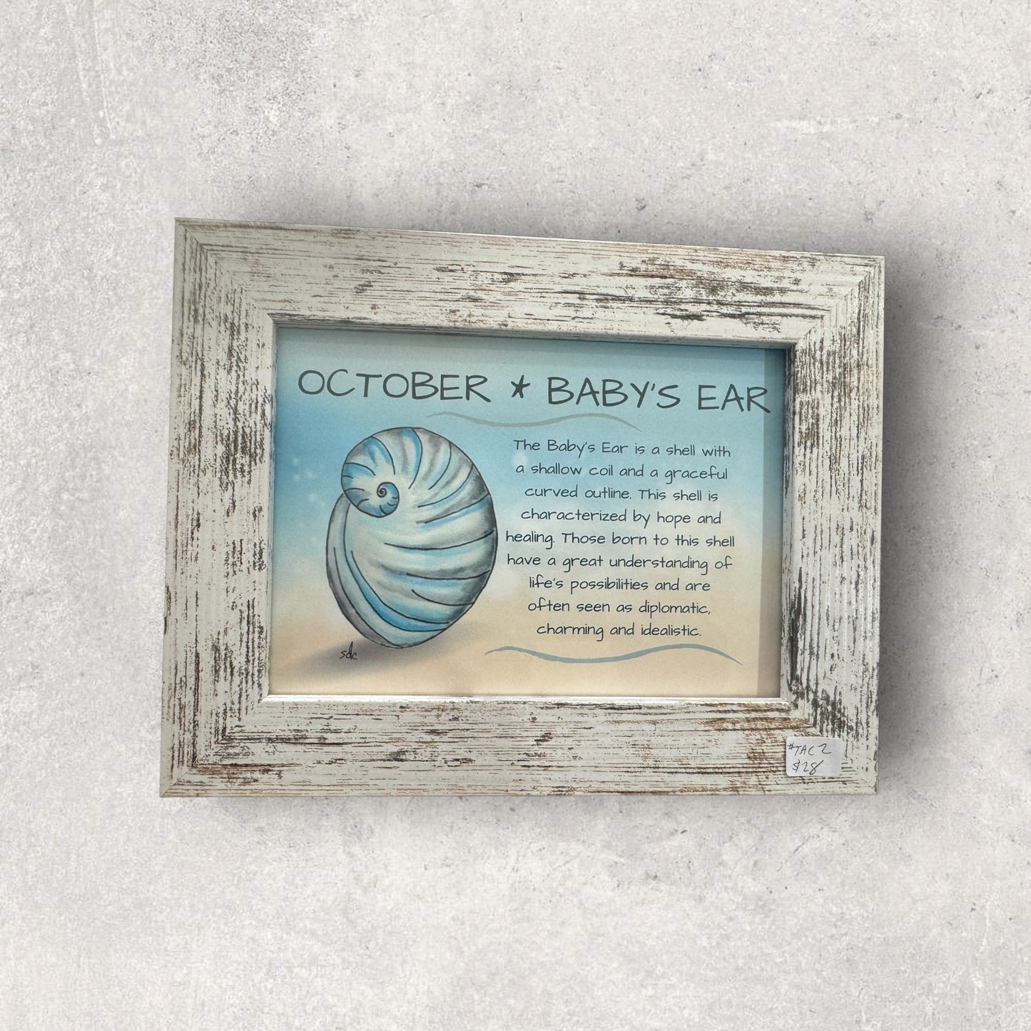 Tropical Art Chick Birth shell prints