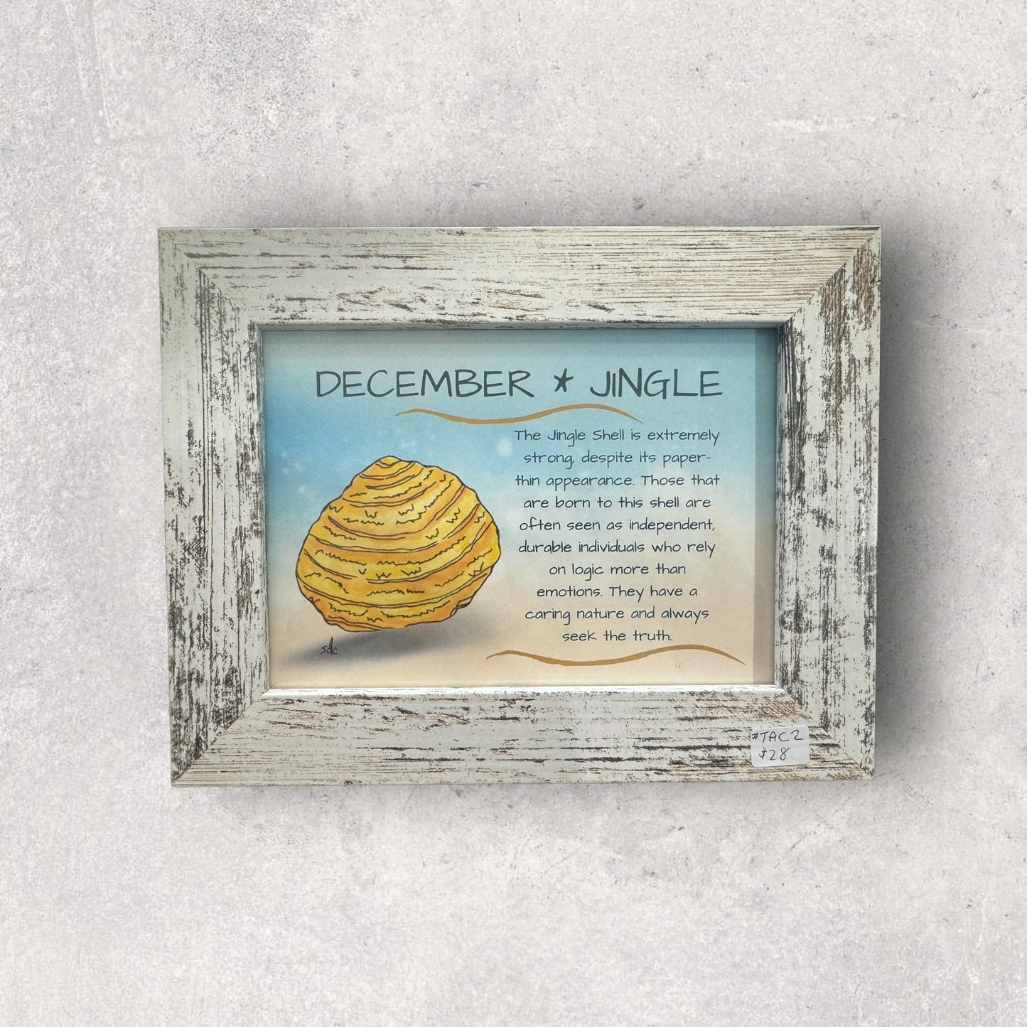 Tropical Art Chick Birth shell prints