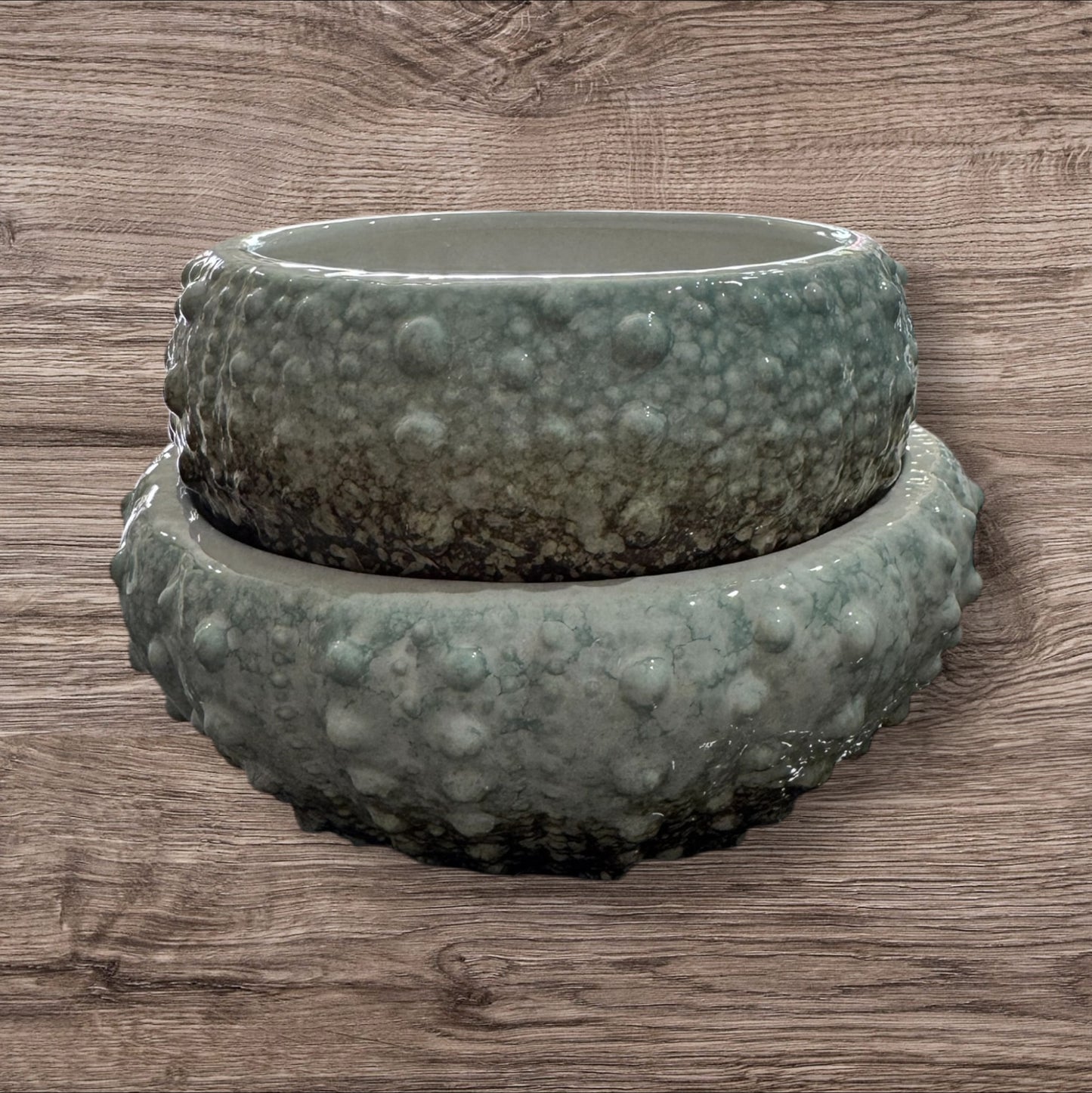 sea Urchin accent bowl small
