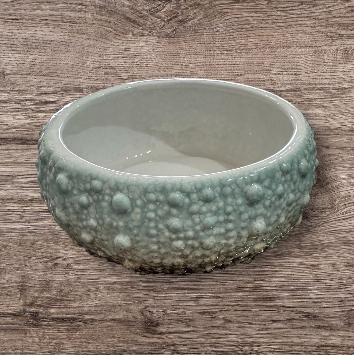 Sea Urchin accent bowl large