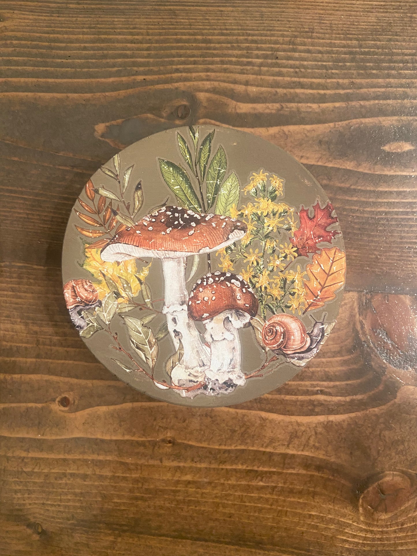 Learn to Use Redesign with Prima Transfers: Coasters