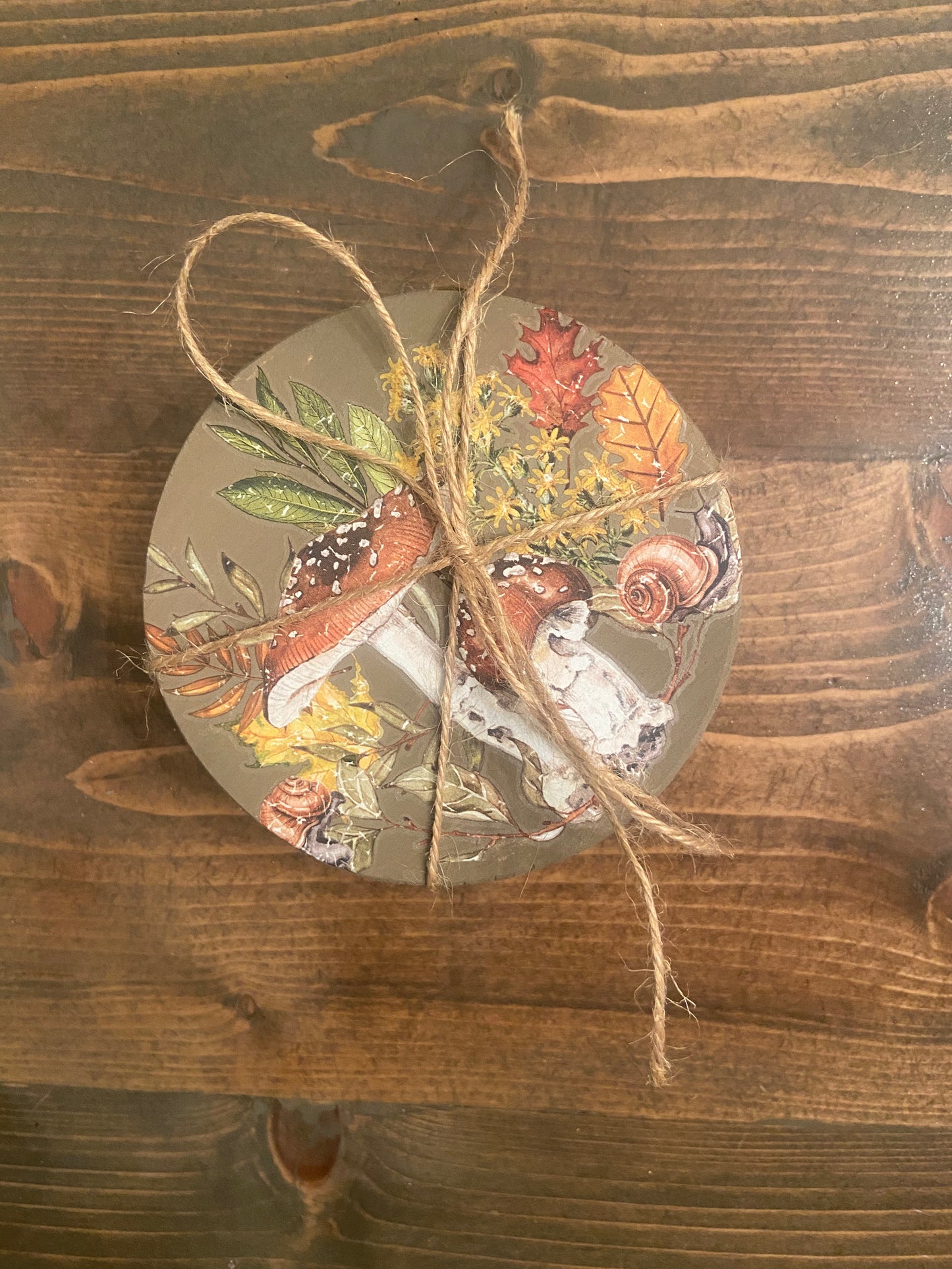 Learn to Use Redesign with Prima Transfers: Coasters