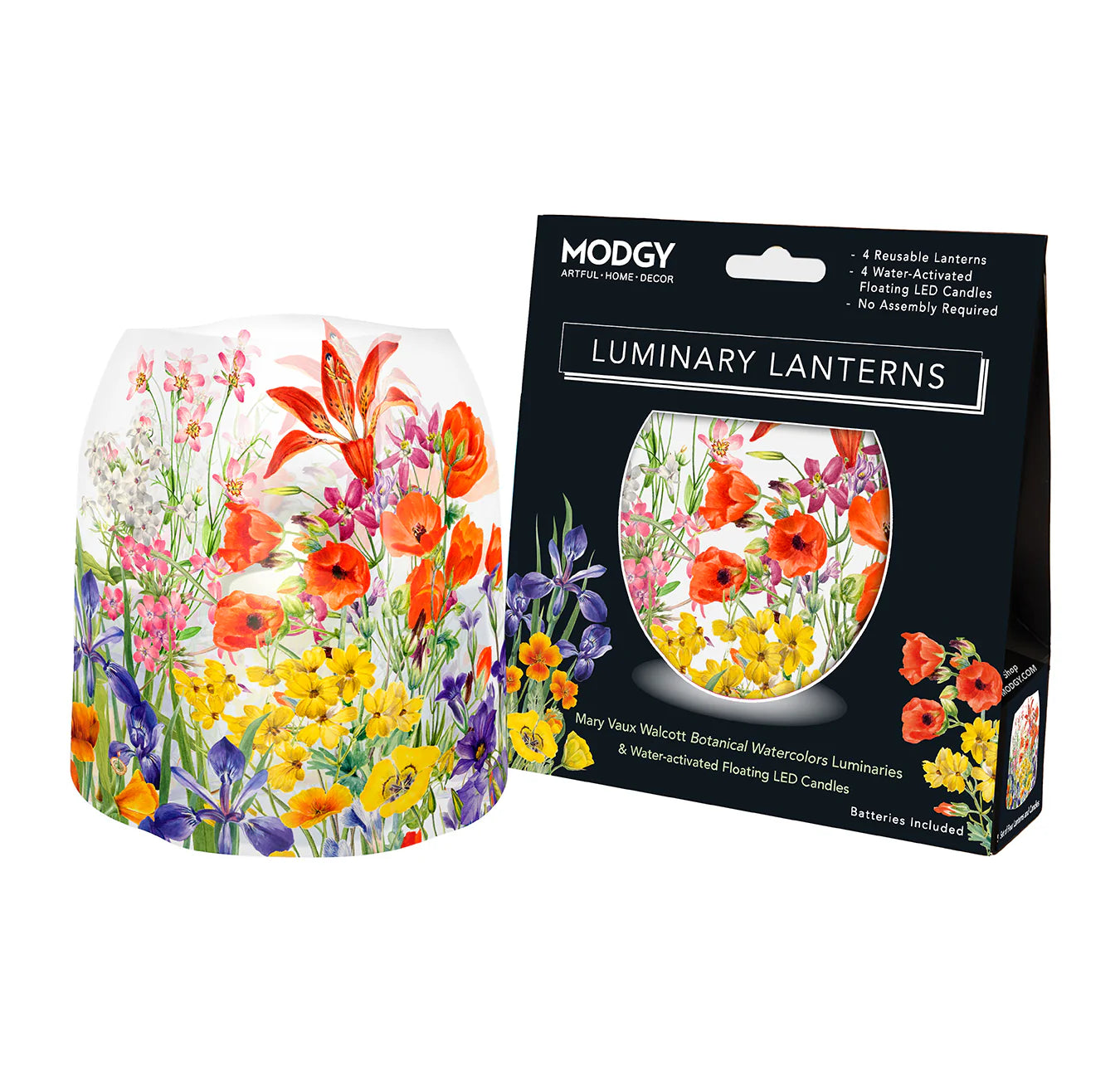 Modgy Luminary Lanterns