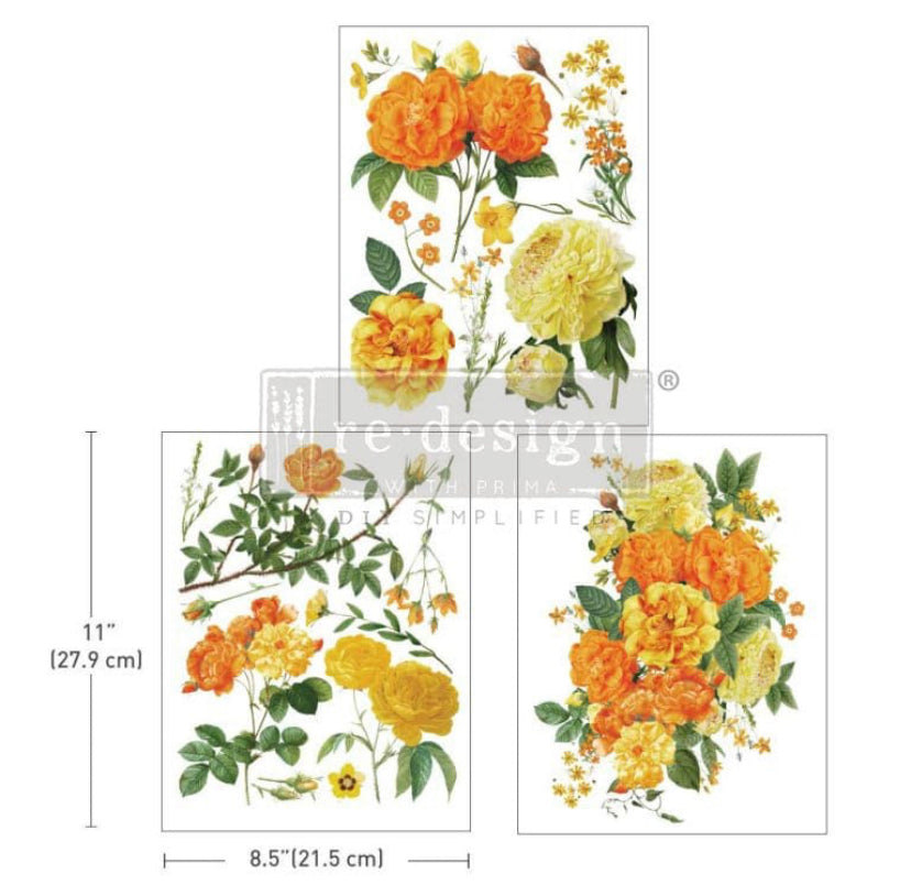 My Honey Middy Transfer by Redesign with Prima