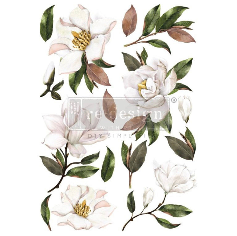 Magnolia Grandiflora transfer by Redesign with Prima