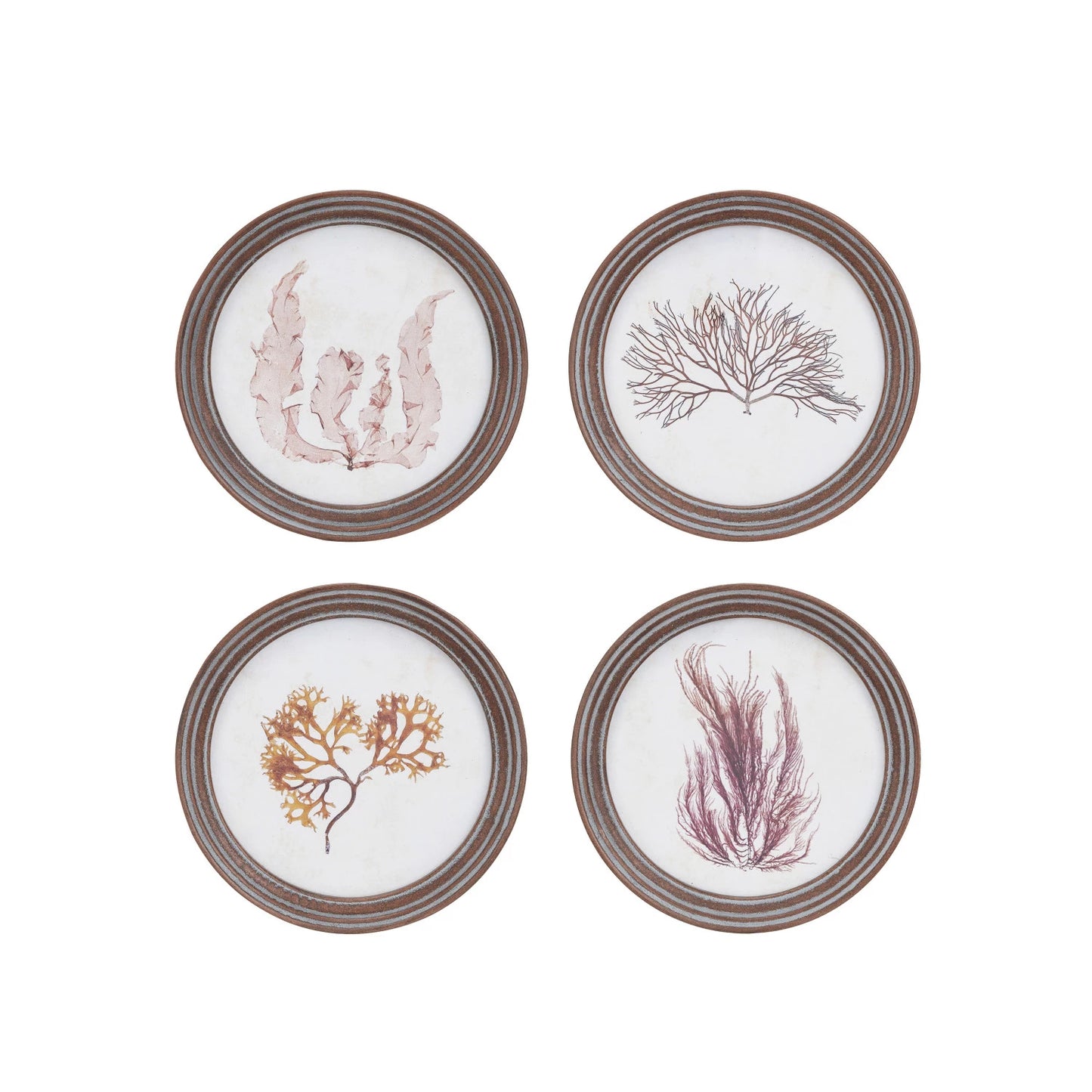 Framed sea fan Glass wall decor
