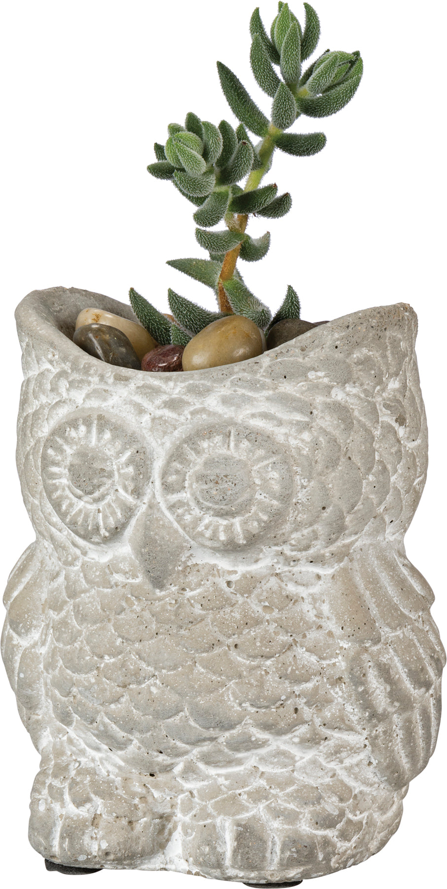 Cement Owl Planter Set