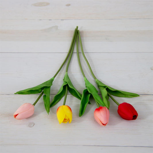 Pick - Petite Tulips, Asstd Colors