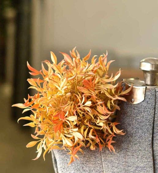 10” Sunshine Smilax Half Sphere