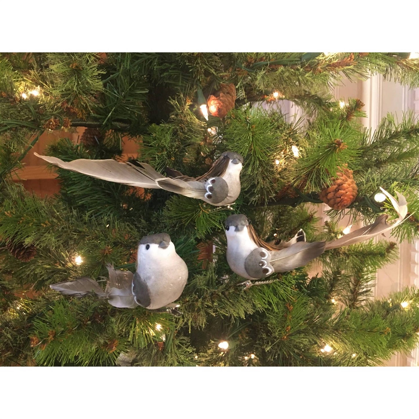 6" Natural Feather Gray/Brown Bird 3 Asst. Box of 12