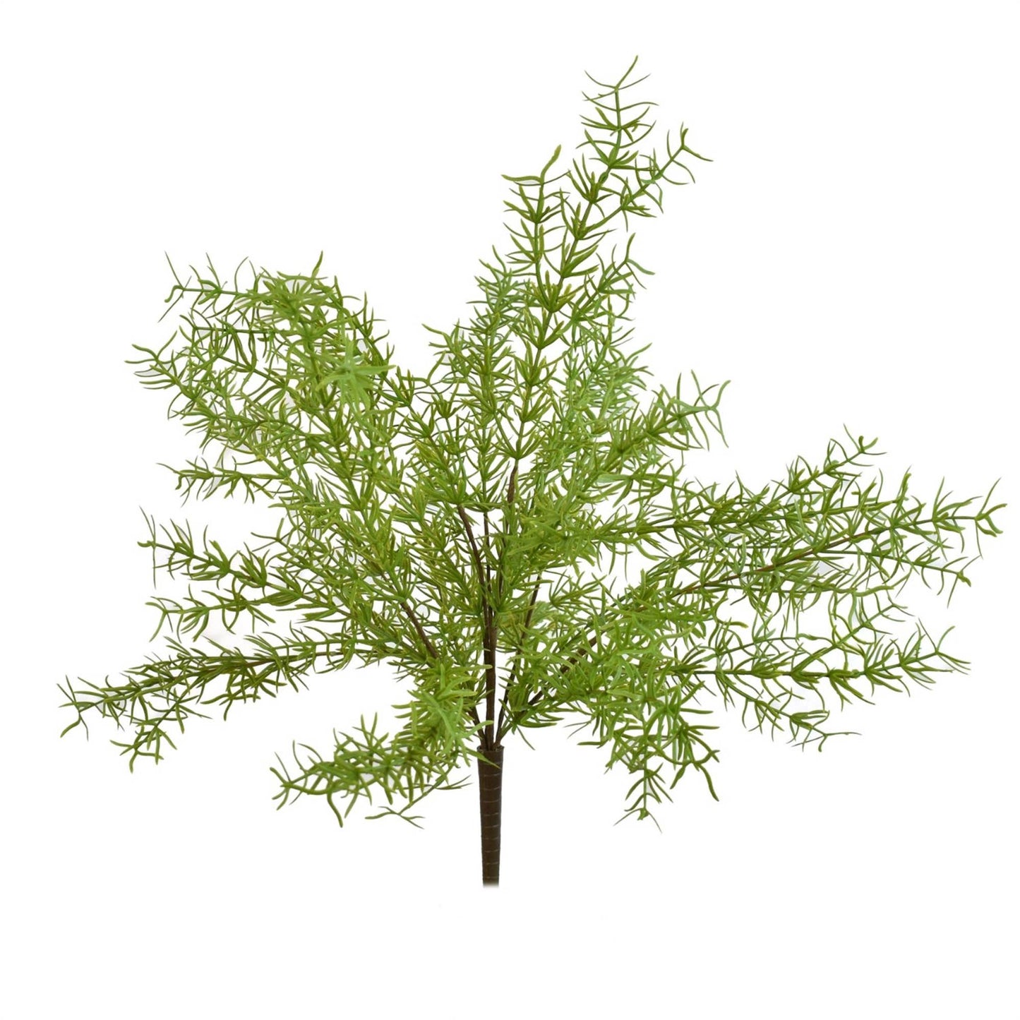19” Natural Touch Asparagus Fern Plant