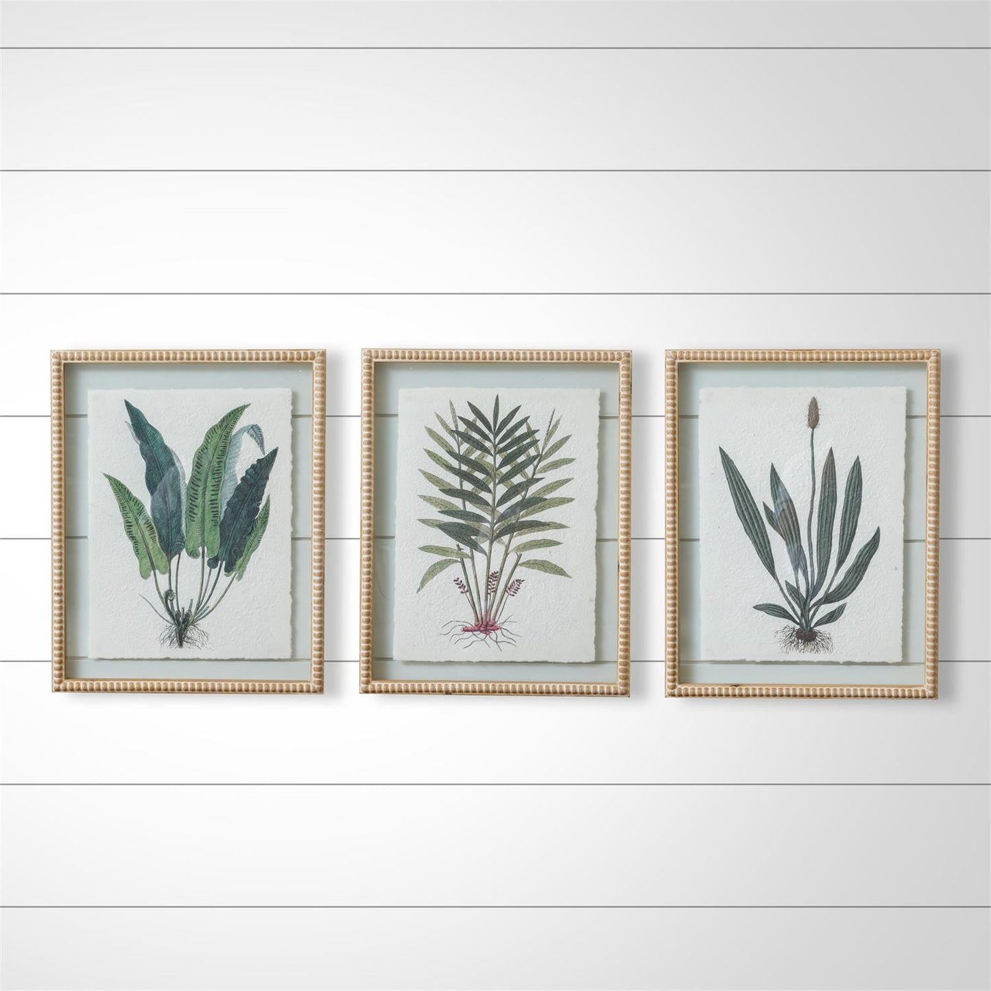 Beaded Frames - Fern Prints