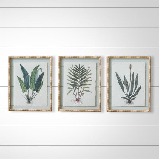 Beaded Frames - Fern Prints