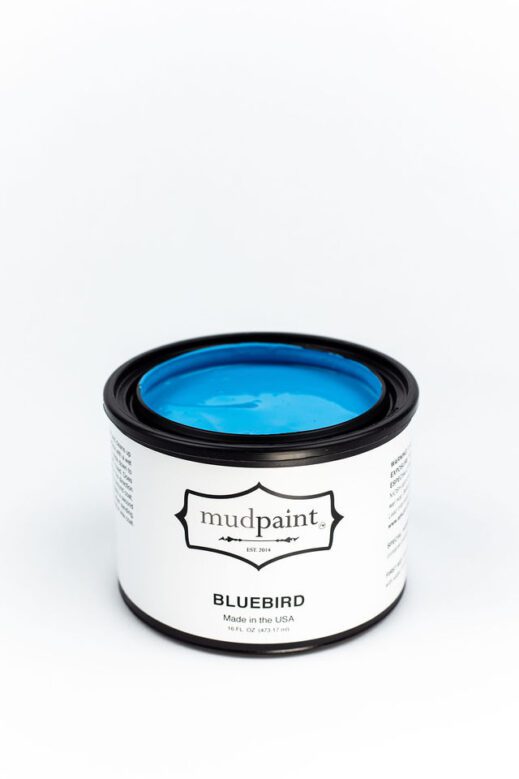 Bluebird Mudpaint