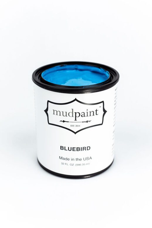 Bluebird Mudpaint