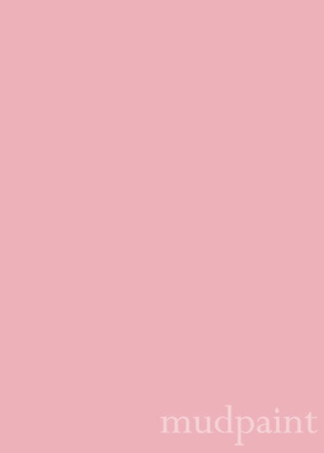 Blush Mudpaint