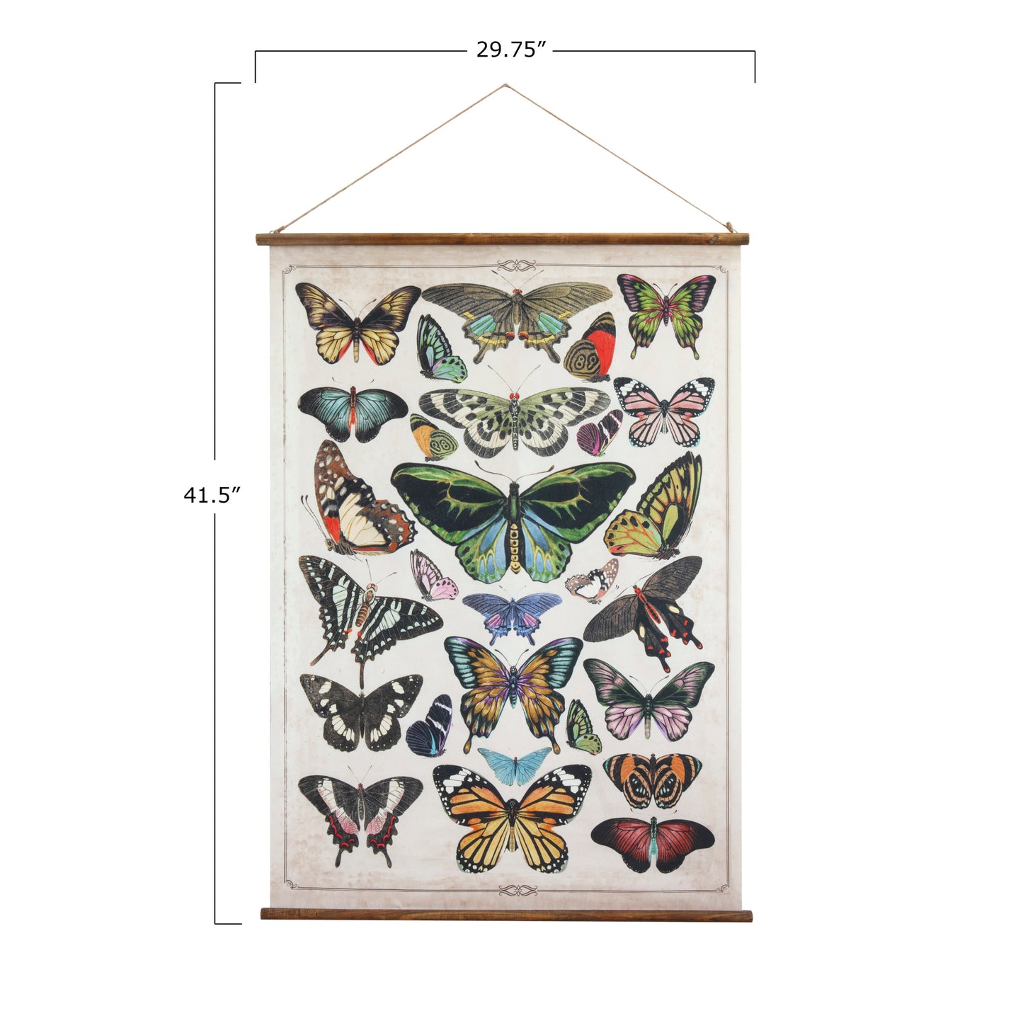 Scroll Wall Decor with Butterflies and Hanger