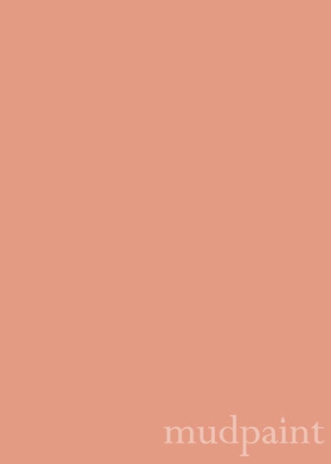 Vintage Coral Mudpaint