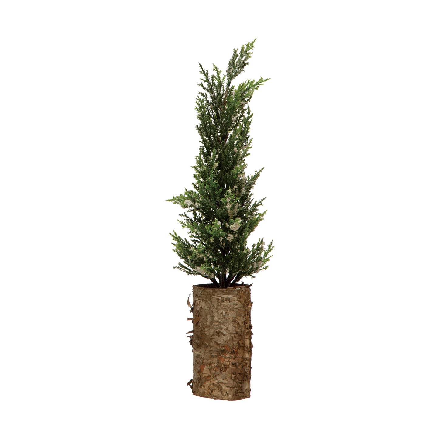 8-1/2" Round x 24"H Faux Cypress Tree in Birch Bark Pot, Snow Finish