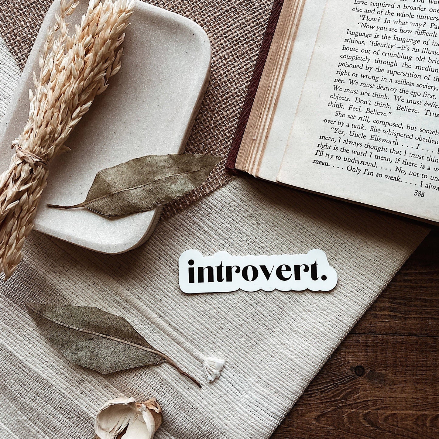 Introvert Vinyl Sticker