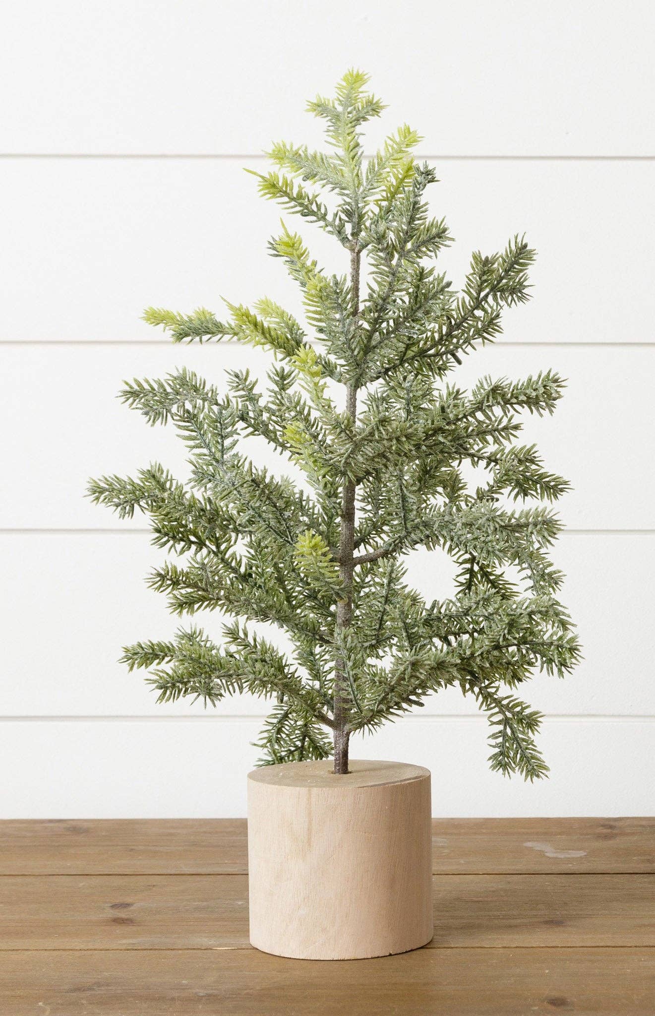 Frosted Pine In Wooden Base, 18 Inches (PC)