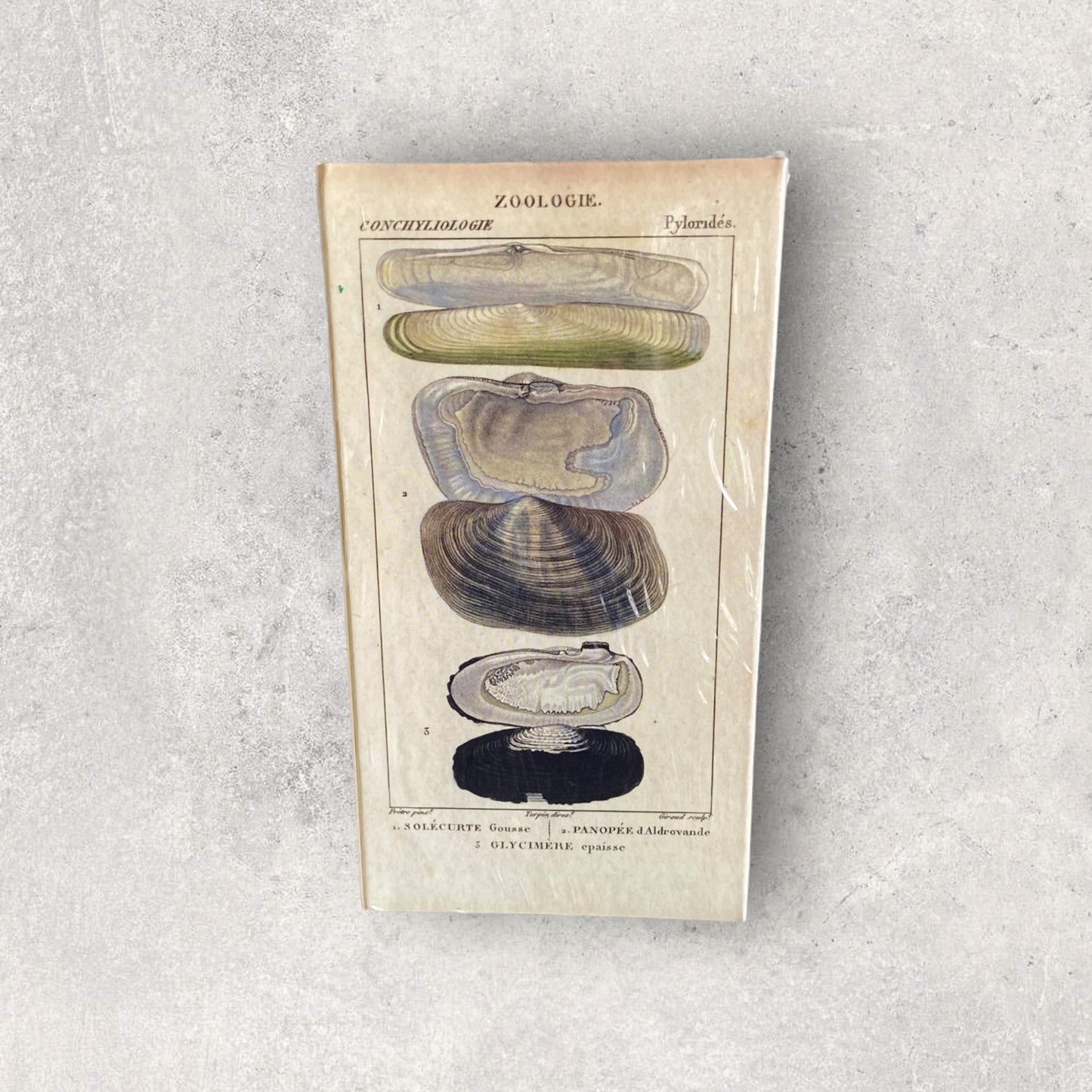 Match boxes