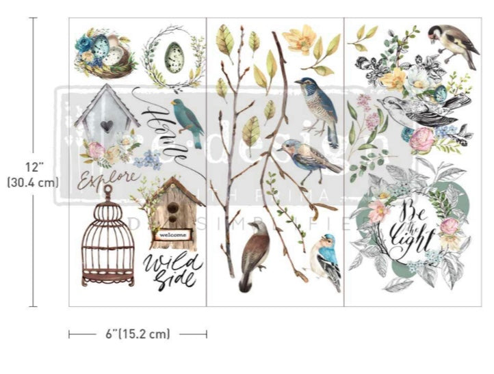 Garden marvels decorative transfer by Redesign with Prima