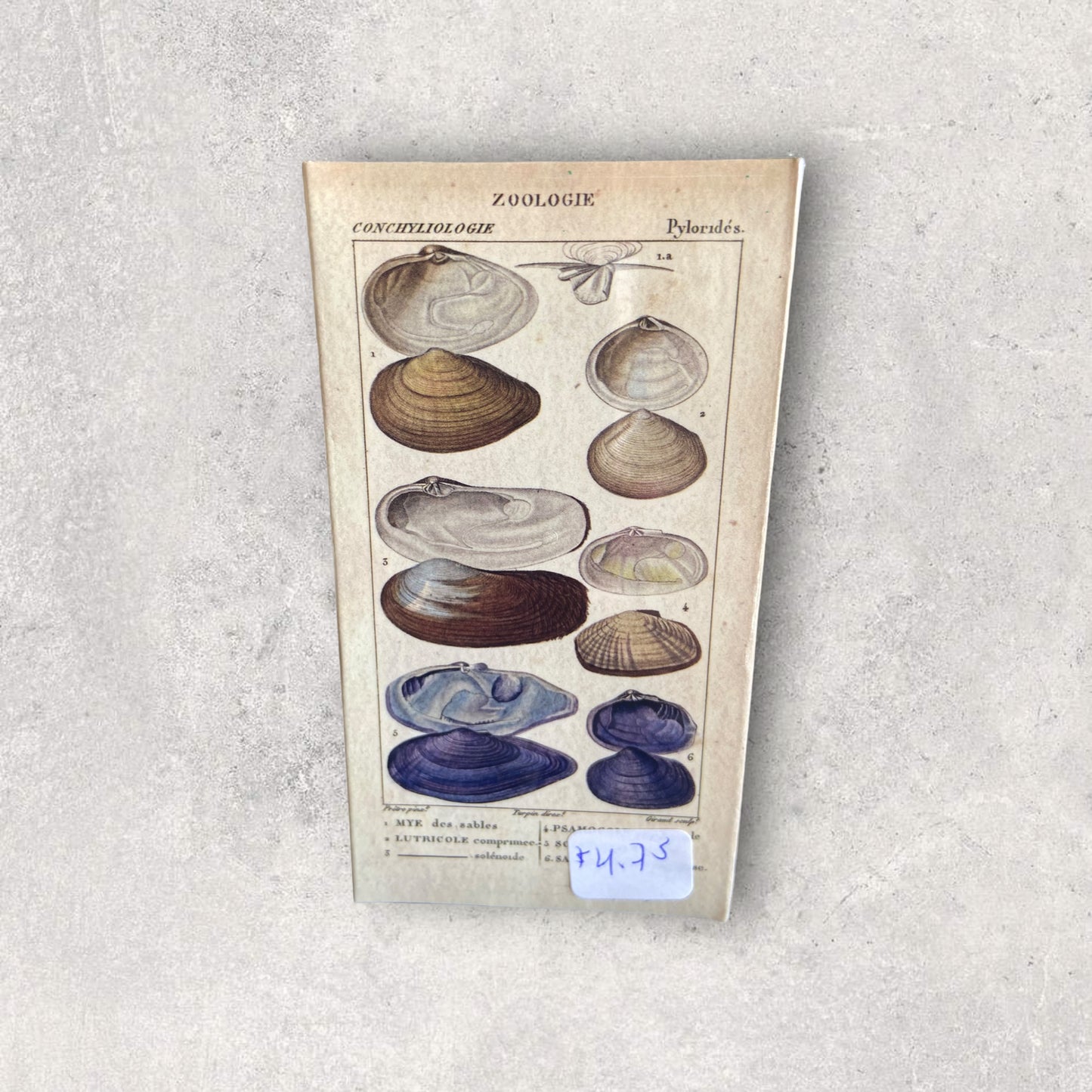 Match boxes